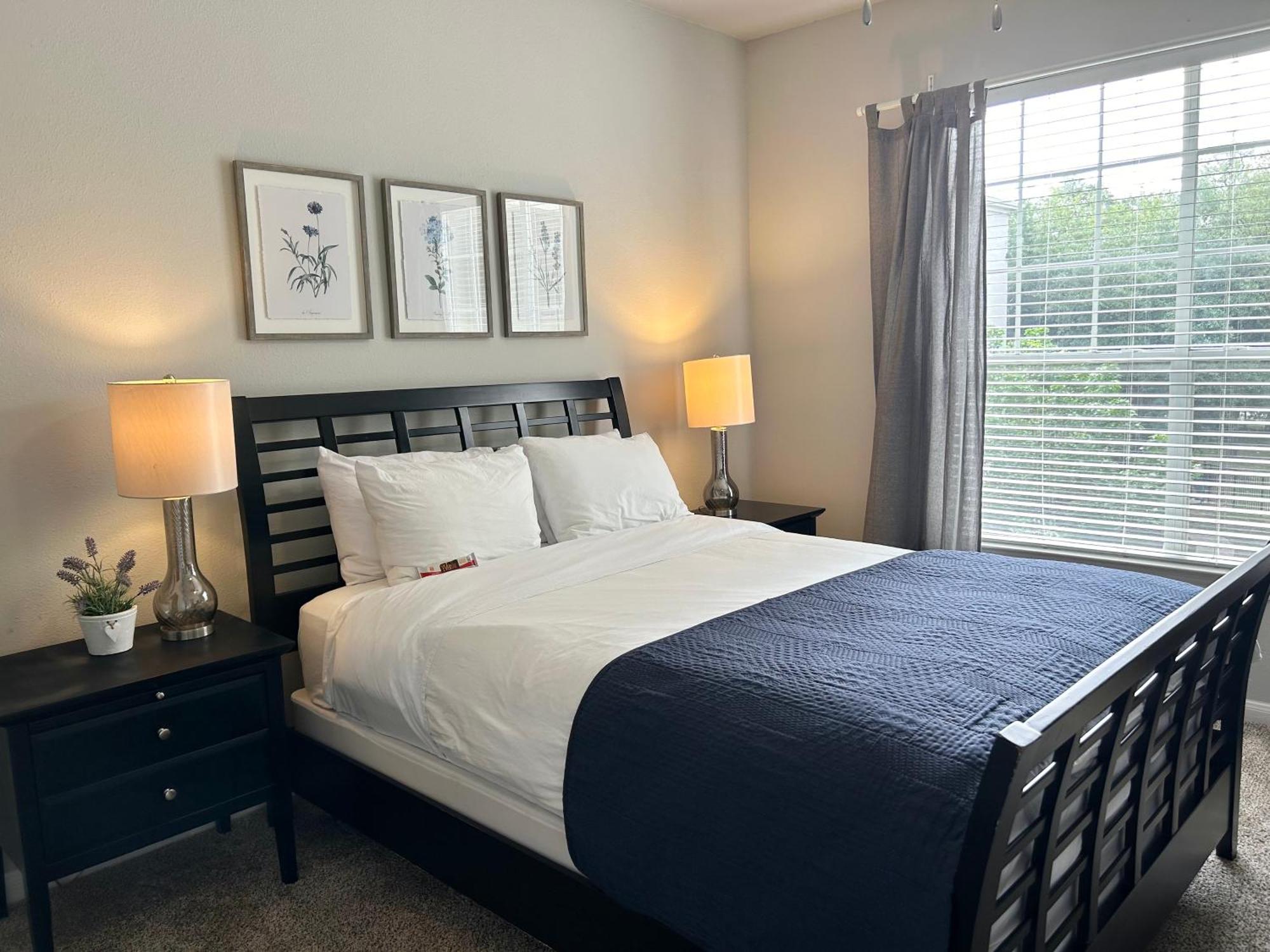 Hidden Gem At Med Center 2Br & 2Ba Apartment Houston Zewnętrze zdjęcie